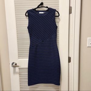 Calvin Klein Blue & Black Striped Dress